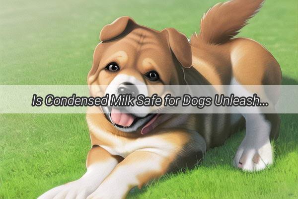 Is Condensed Milk Safe for Dogs Unleash the Truth Behind This Surprising Treat